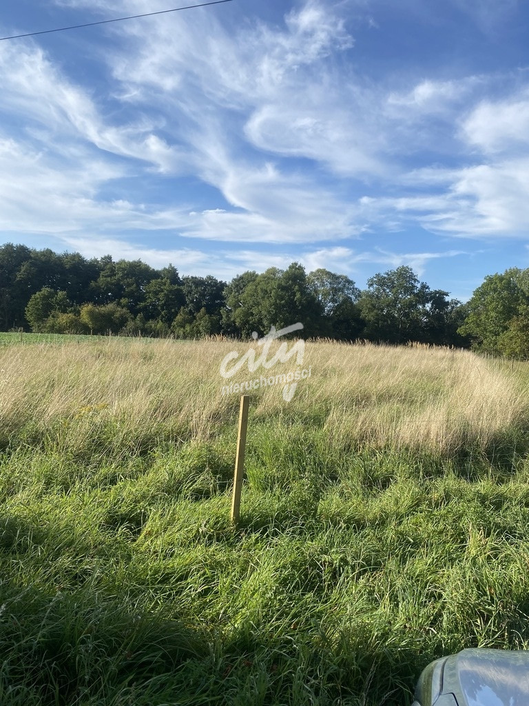 Działka Sprzedaż Przęsocin