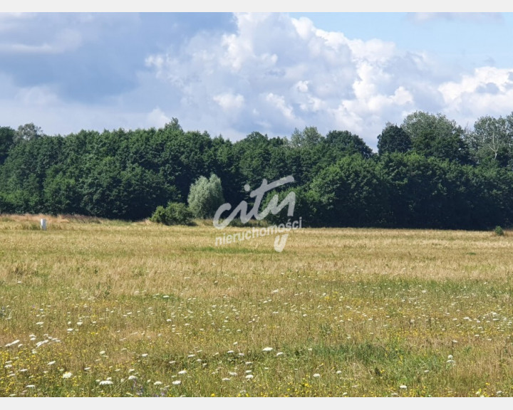 Działka Sprzedaż Dobropole Gryfińskie