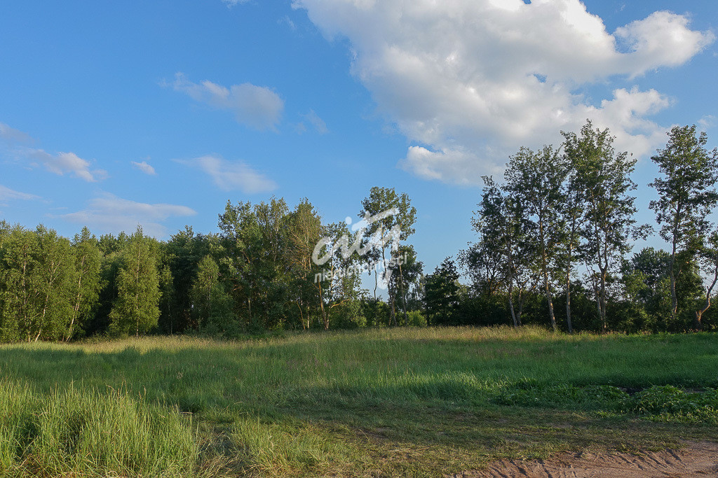 Działka Sprzedaż Grzepnica