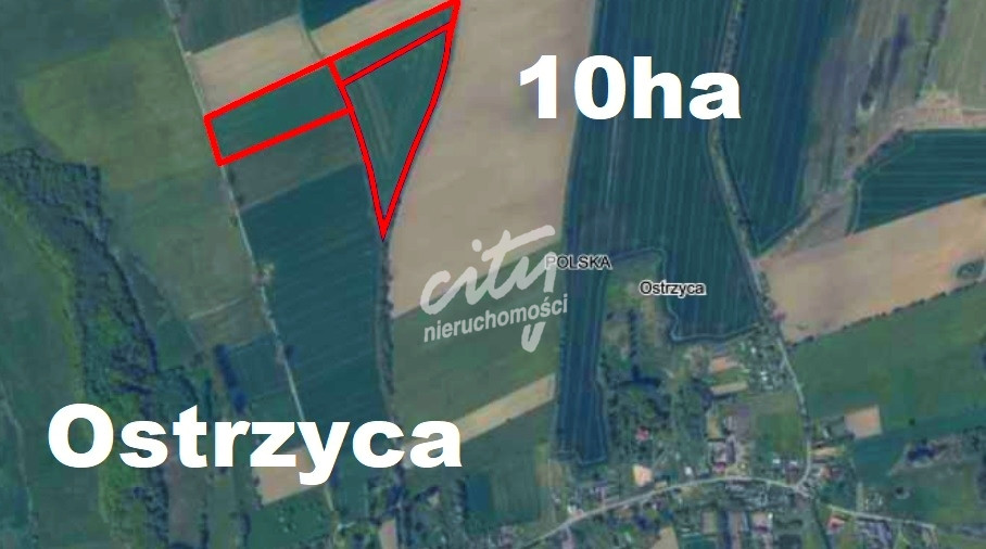 Działka Sprzedaż Ostrzyca