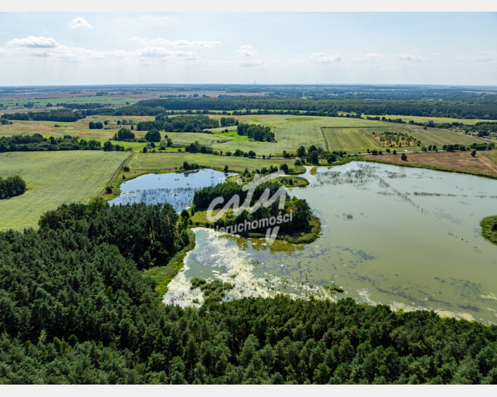 Działka Sprzedaż Binowo