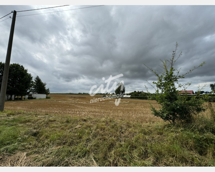 Działka Sprzedaż Kolonia Maszewo