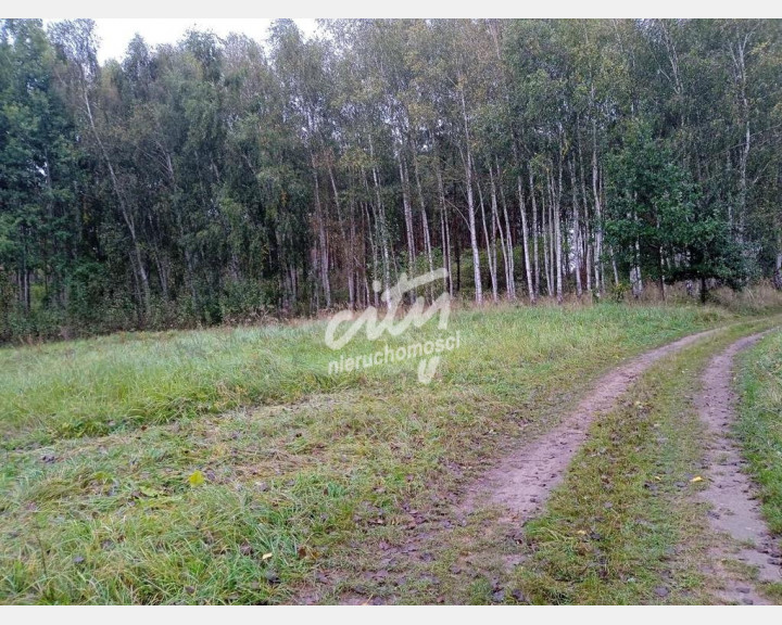 Działka Sprzedaż Szadzko