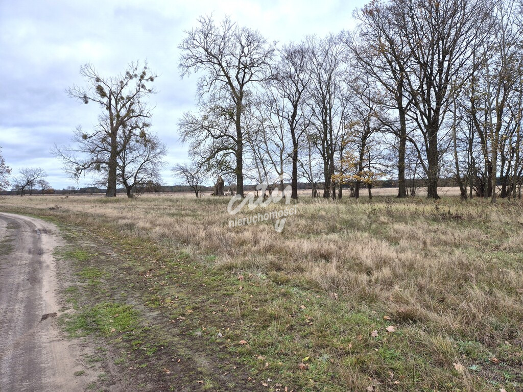Działka Sprzedaż Łęgi