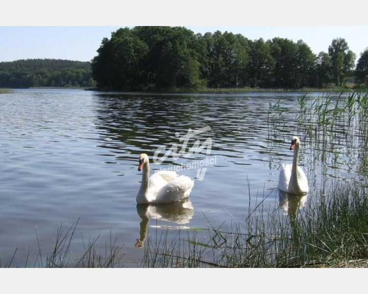 Działka Sprzedaż Zabierzewo