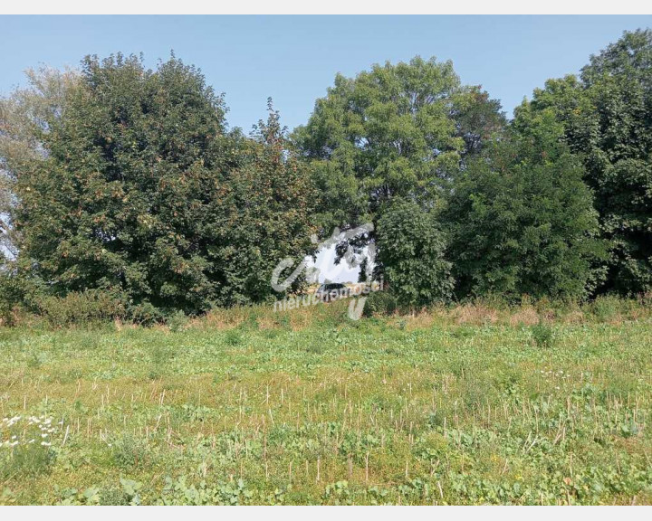 Działka Sprzedaż Chrząszczewo