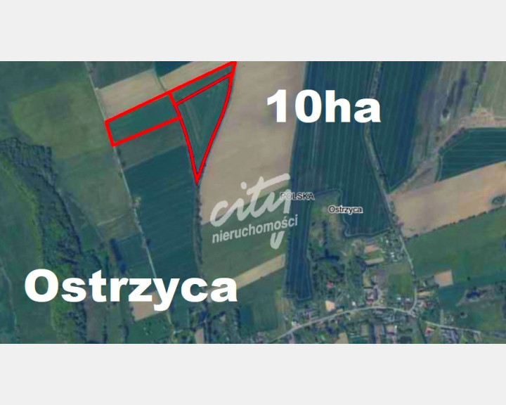 Działka Sprzedaż Ostrzyca