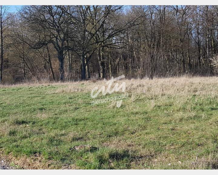 Działka Sprzedaż Kościno