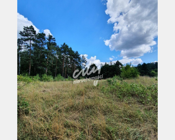 Działka Sprzedaż Stare Osieczno