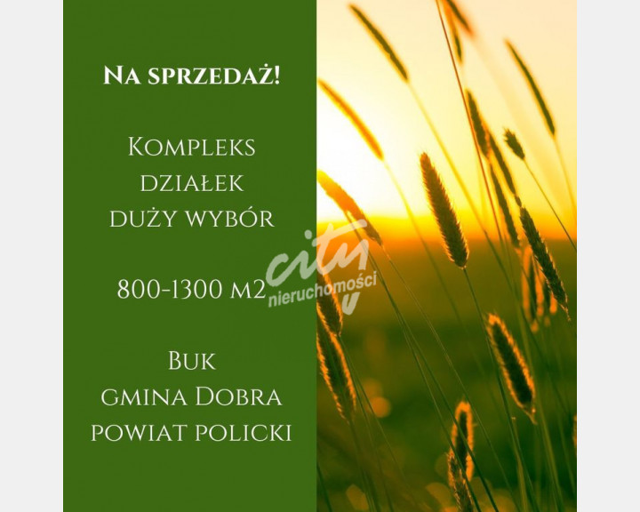 Działka Sprzedaż Buk