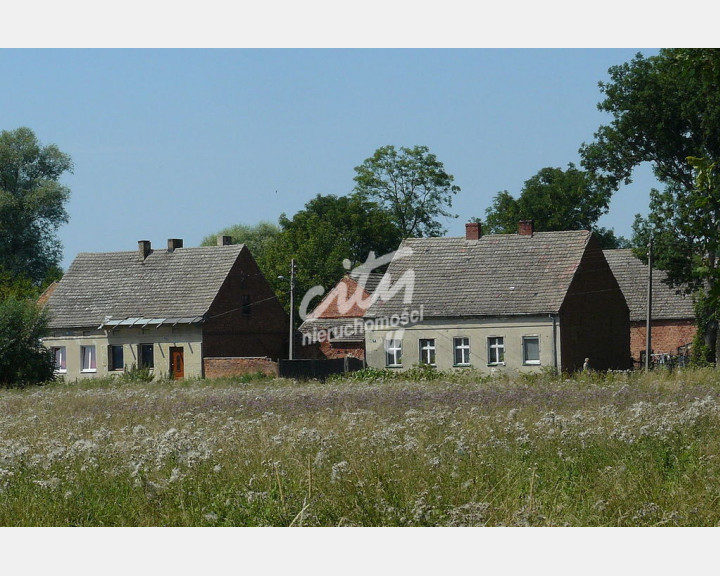 Działka Sprzedaż Giżyn