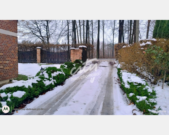 Dom Sprzedaż Zaleszczyce Popiele