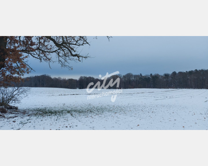 Działka Sprzedaż Budzieszowce