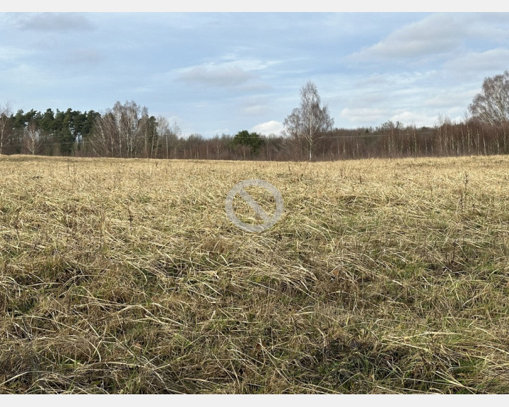 Działka Sprzedaż Storkowo