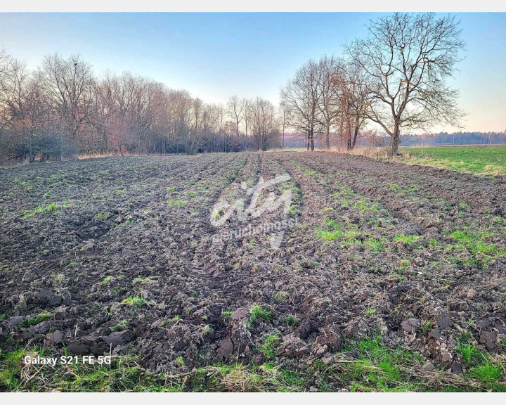 Działka Sprzedaż Górzyca