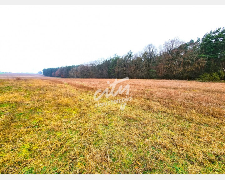 Działka Sprzedaż Żarowo Polna