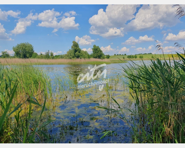 Działka Sprzedaż Zieleniewo