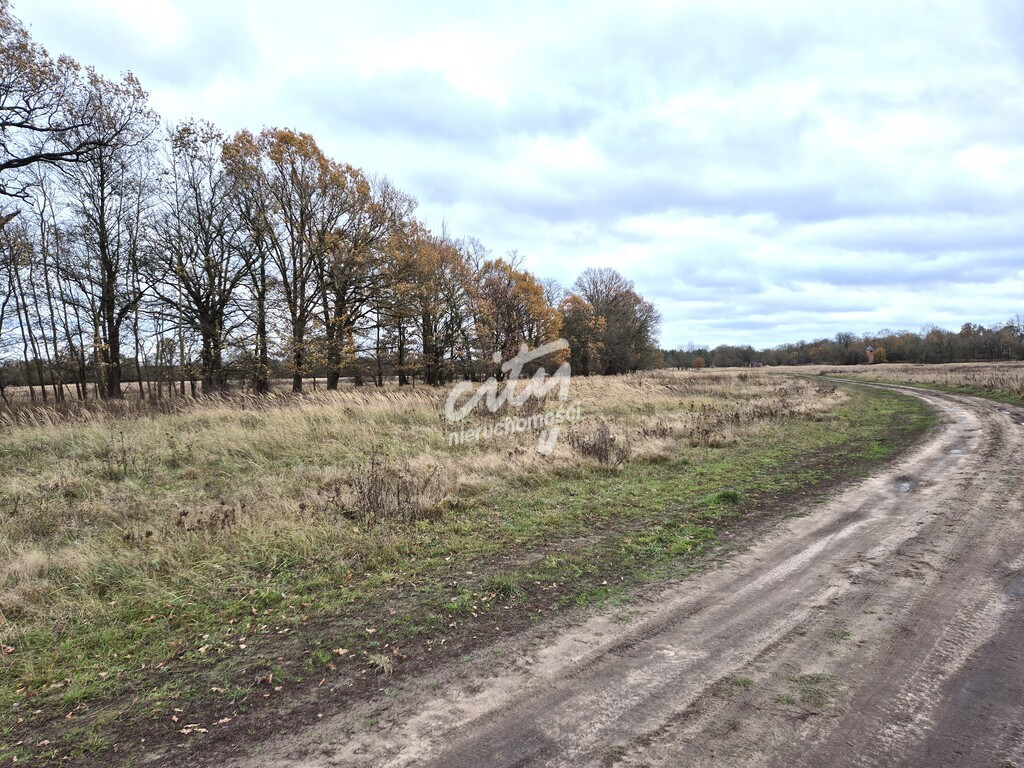 Działka Sprzedaż Łęgi