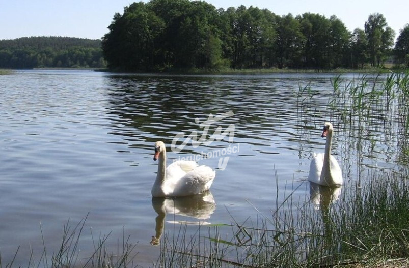 Działka Sprzedaż Zabierzewo