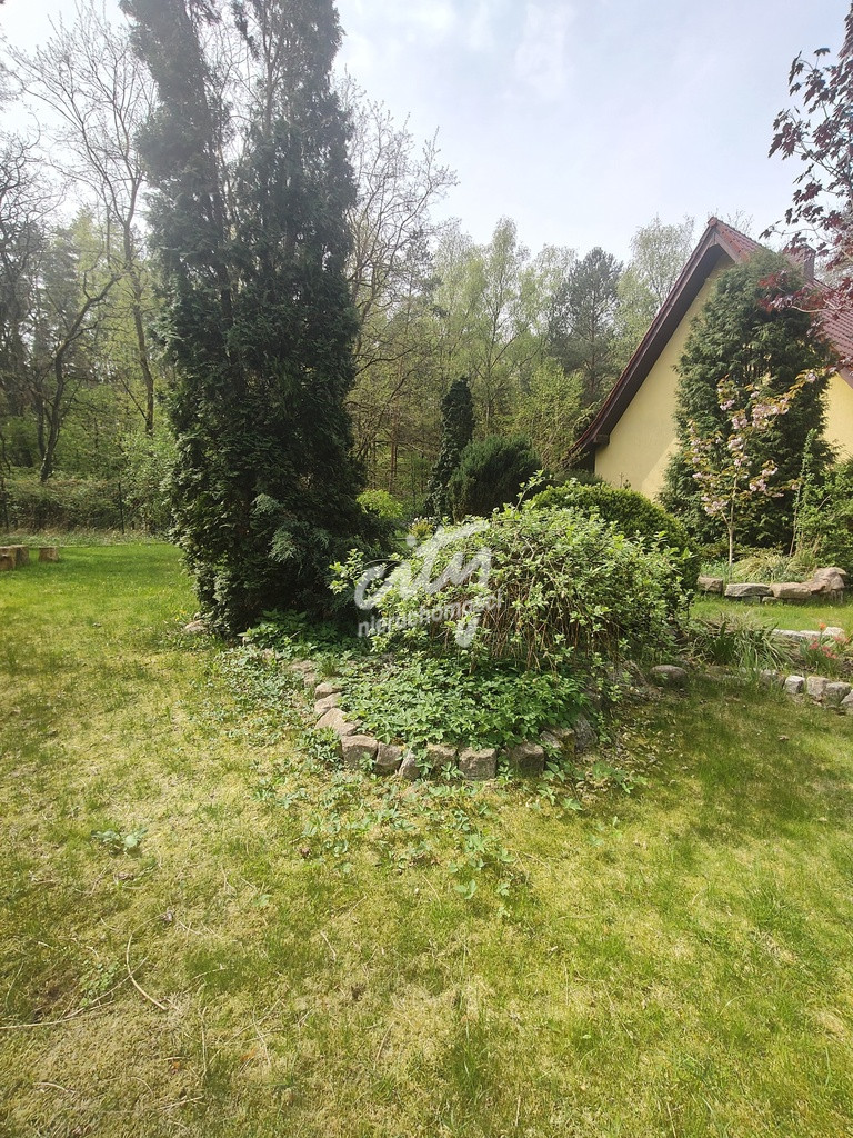 Dom Sprzedaż Stare Leśno 13