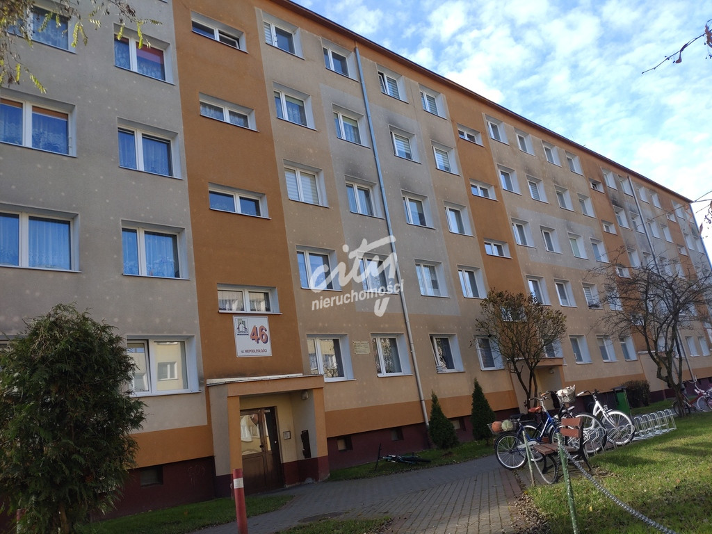 Mieszkanie Sprzedaż Okonek Niepodległości 4