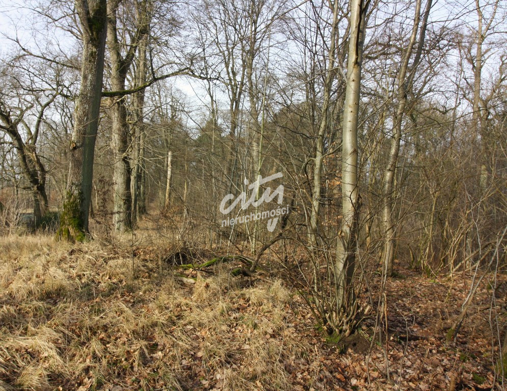 Obiekt Sprzedaż Storkowo 18