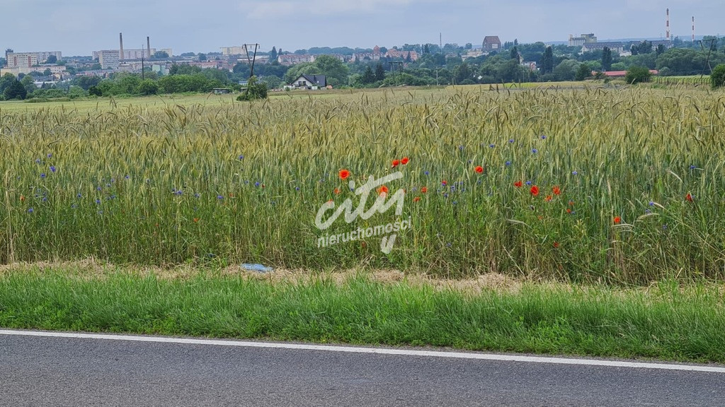 Działka Sprzedaż Stargard