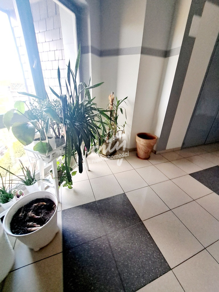 Mieszkanie Wynajem Szczecin Warszewo 34