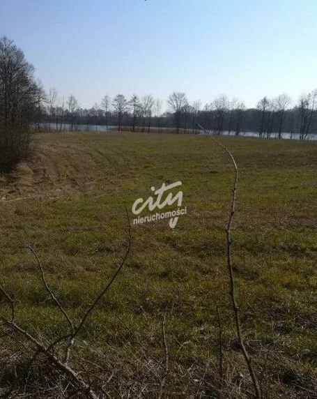 Działka Sprzedaż Kaszewo 4