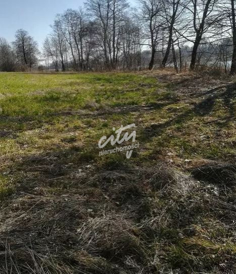 Działka Sprzedaż Kaszewo 6
