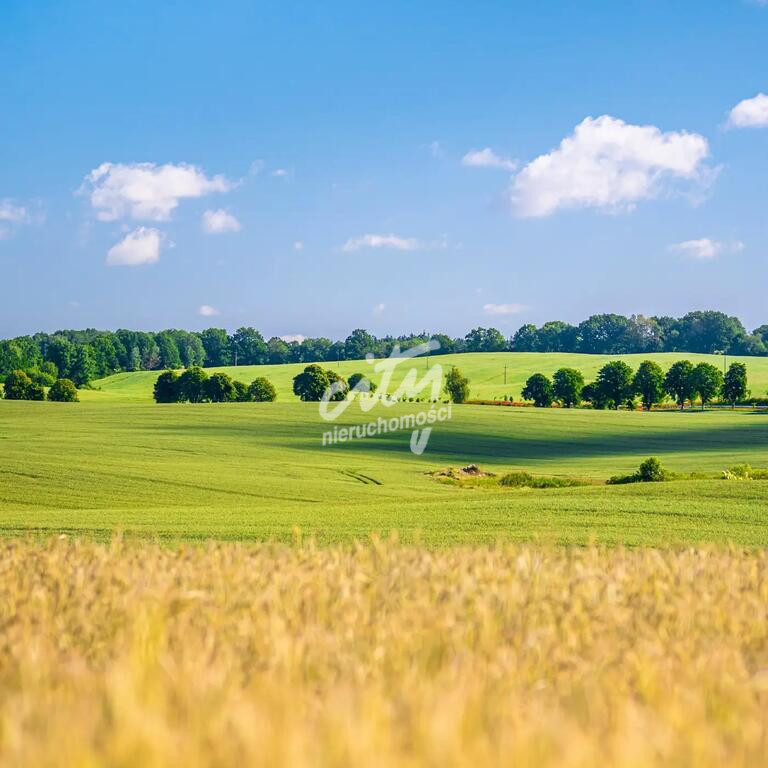 Działka Sprzedaż Przemocze