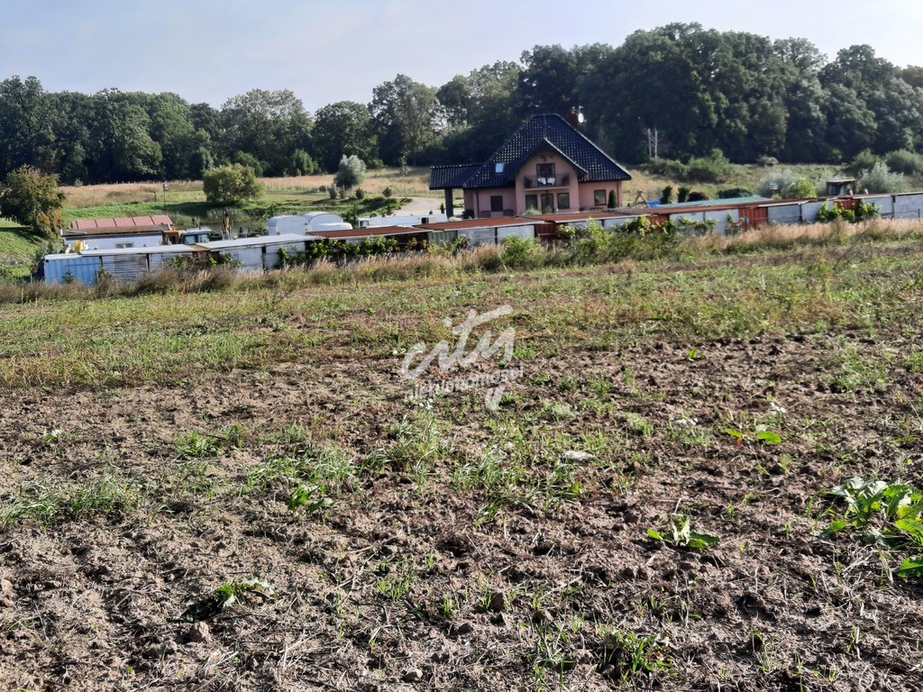 Działka Sprzedaż Kurów Na Klifie 10