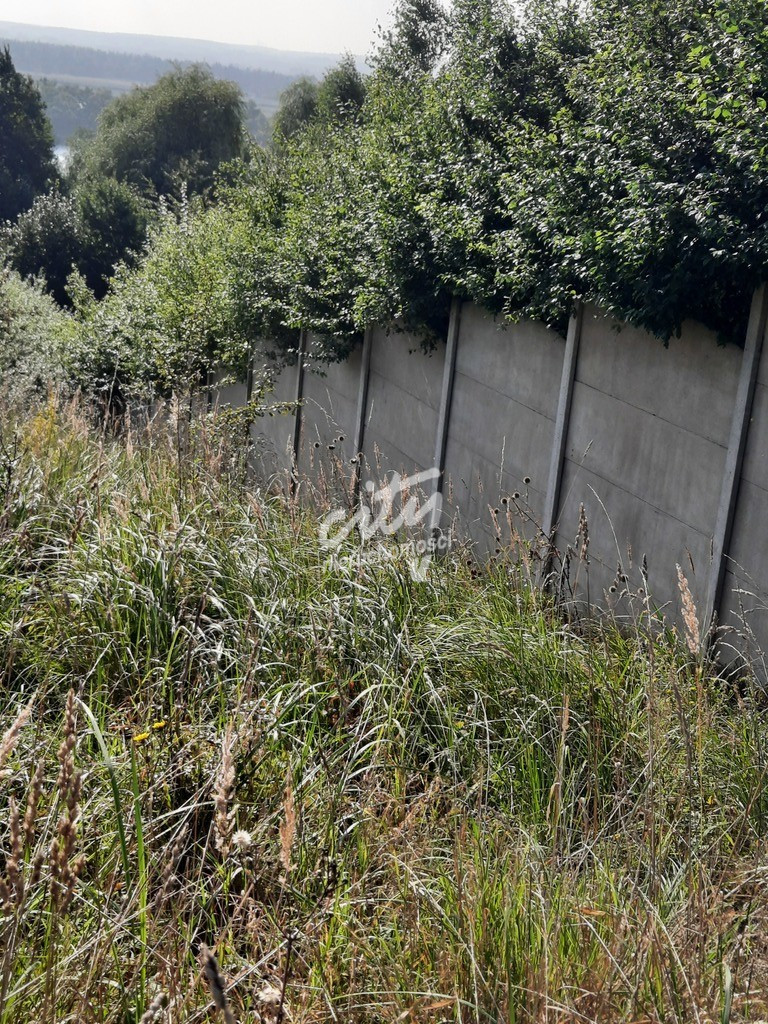 Działka Sprzedaż Kurów Na Klifie 14
