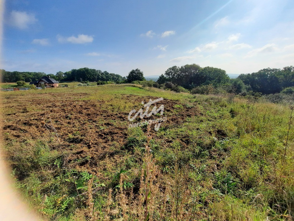 Działka Sprzedaż Kurów Na Klifie 18