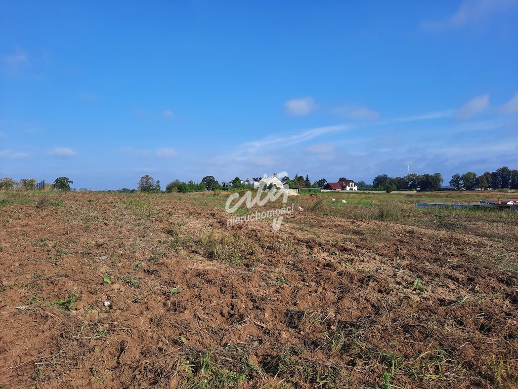 Działka Sprzedaż Kurów Na Klifie 19