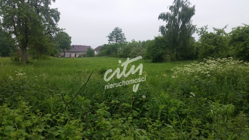 Działka Sprzedaż Binowo 5