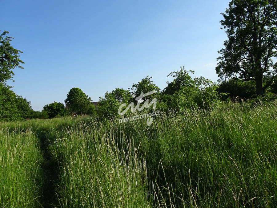 Działka Sprzedaż Binowo 10