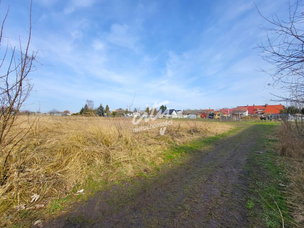 Działka Sprzedaż Koszewo