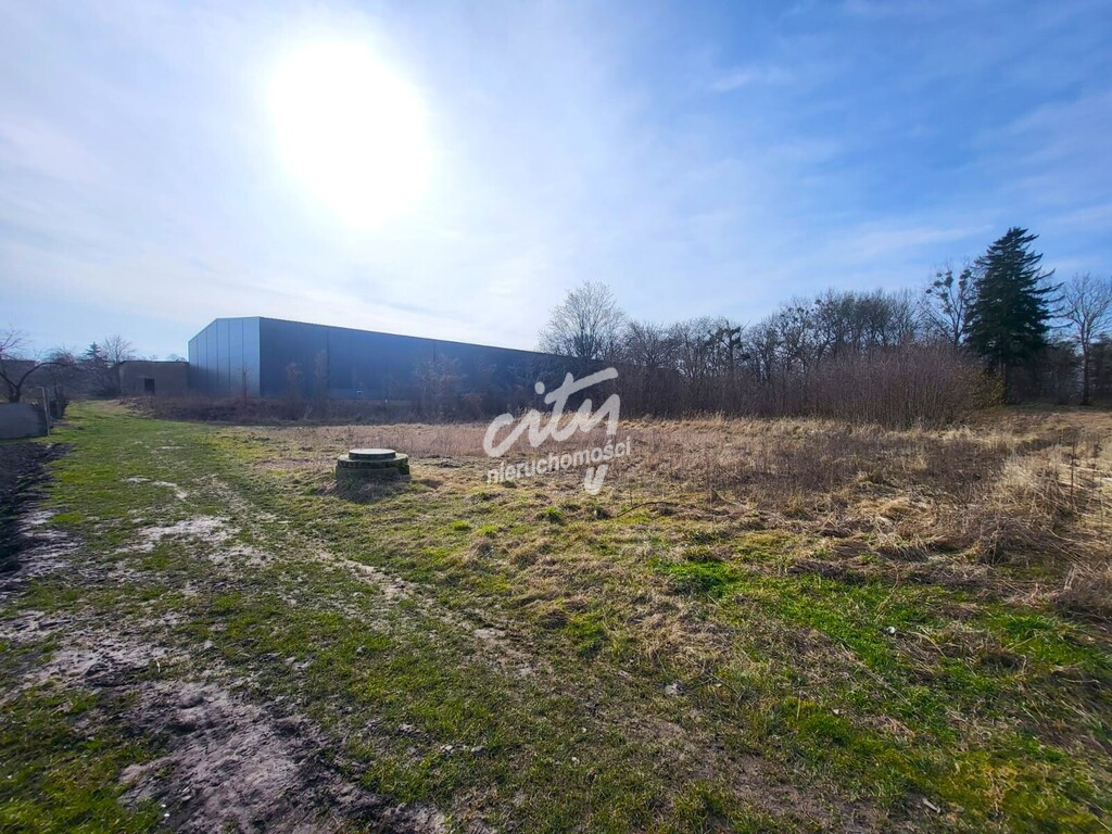 Działka Sprzedaż Koszewo