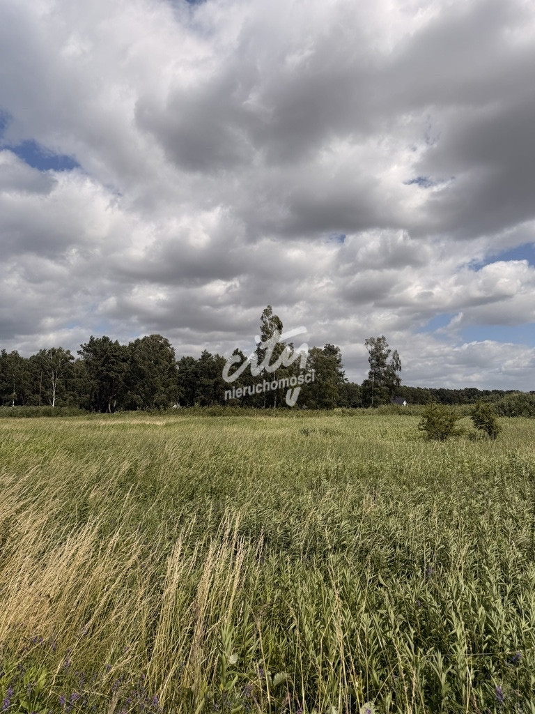 Działka Sprzedaż Niedźwiedź 8