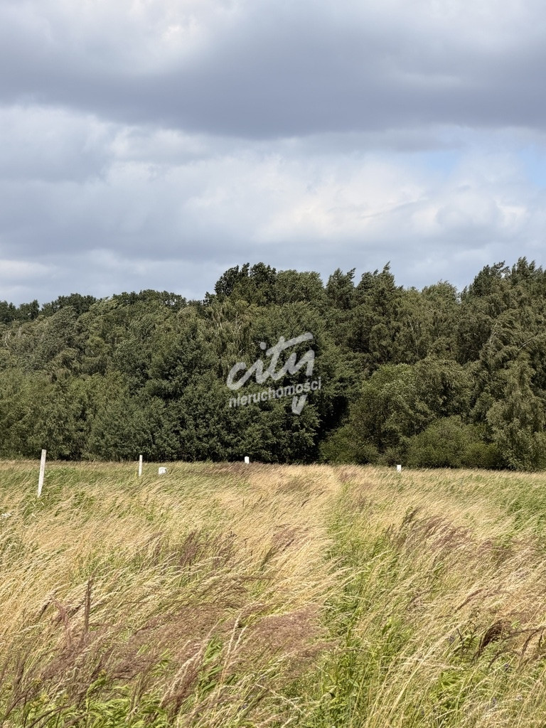 Działka Sprzedaż Niedźwiedź 5