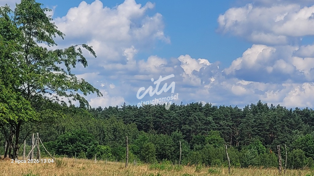 Działka Sprzedaż Wiśniewo