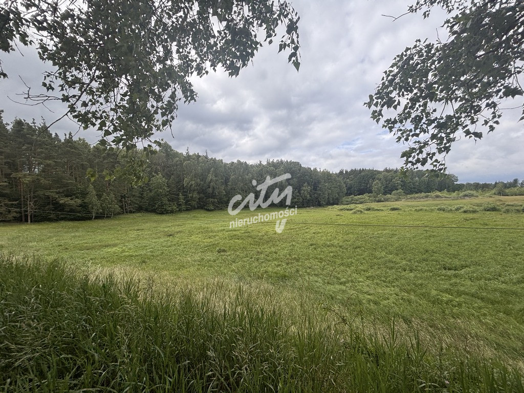 Działka Sprzedaż Piaseczno 12