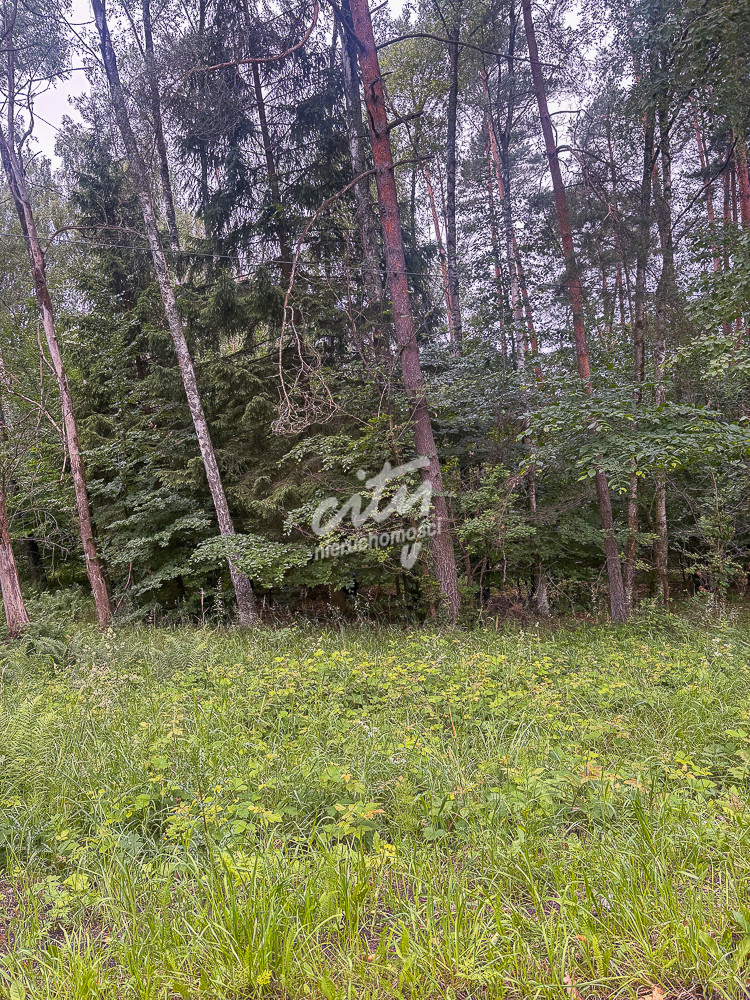 Działka Sprzedaż Piaseczno 8
