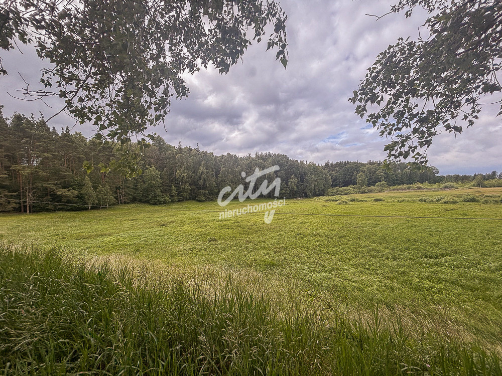 Działka Sprzedaż Piaseczno 2