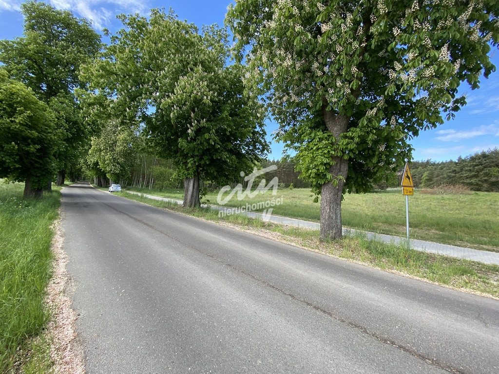 Działka Sprzedaż Buk 7