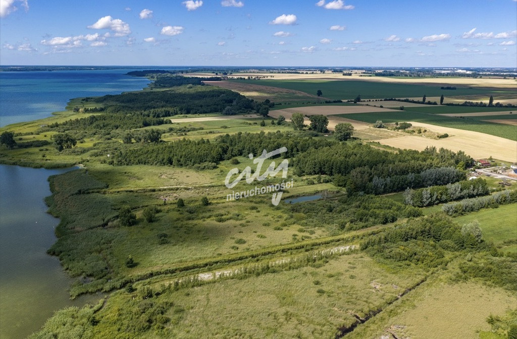 Działka Sprzedaż Wierzbno 5