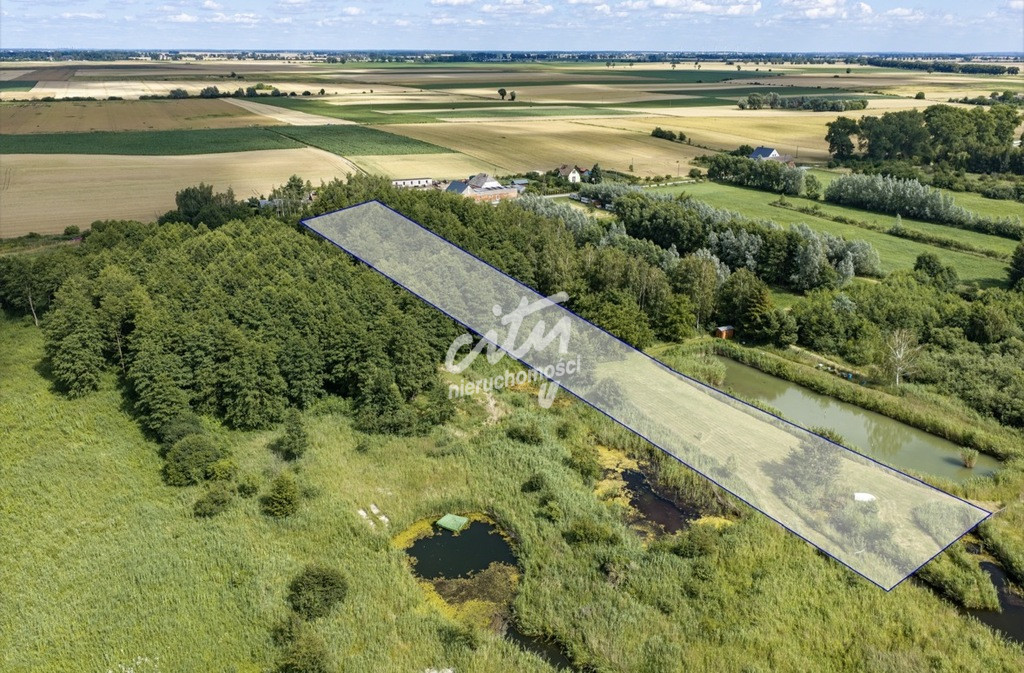 Działka Sprzedaż Wierzbno 6