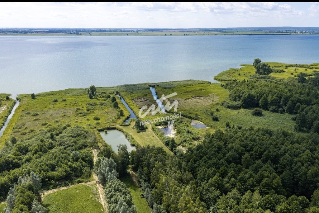 Działka Sprzedaż Wierzbno 7
