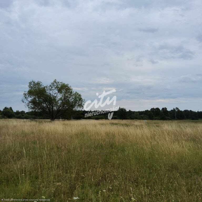 Działka Sprzedaż Buk 2